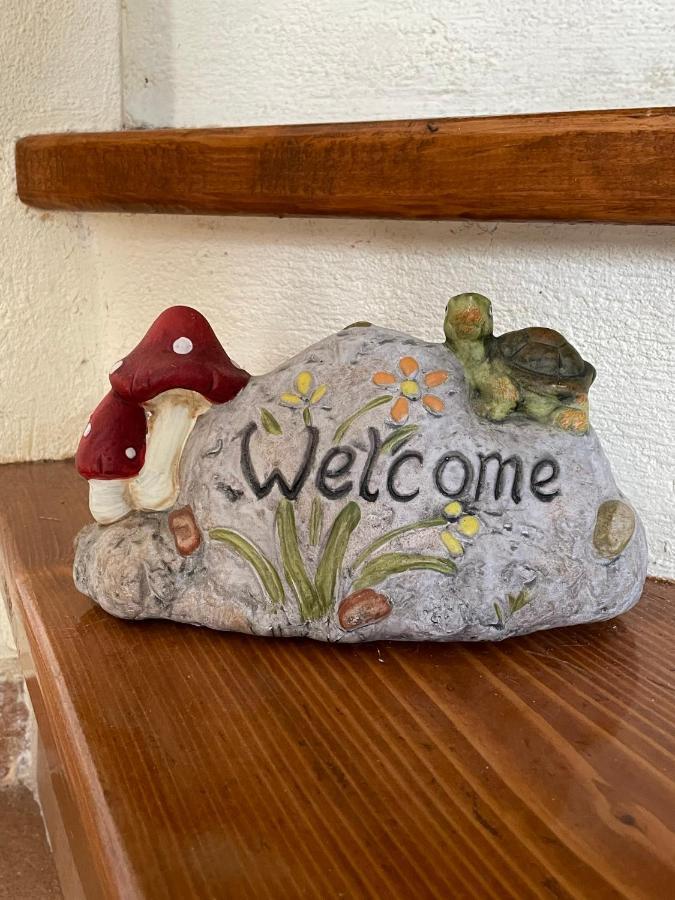Camellia Guesthouse Anilio Pelion Екстер'єр фото