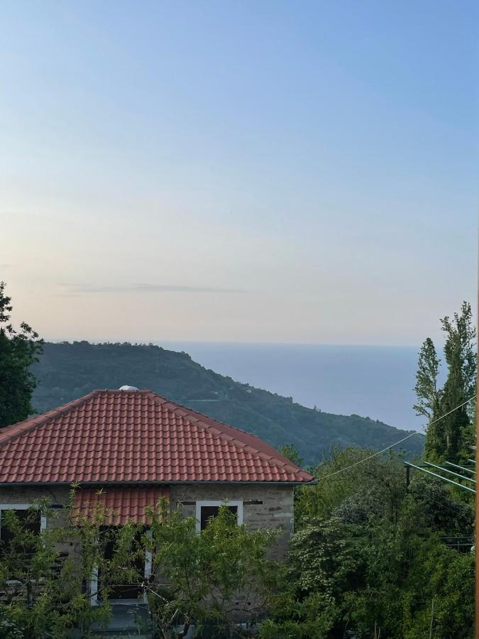 Camellia Guesthouse Anilio Pelion Екстер'єр фото