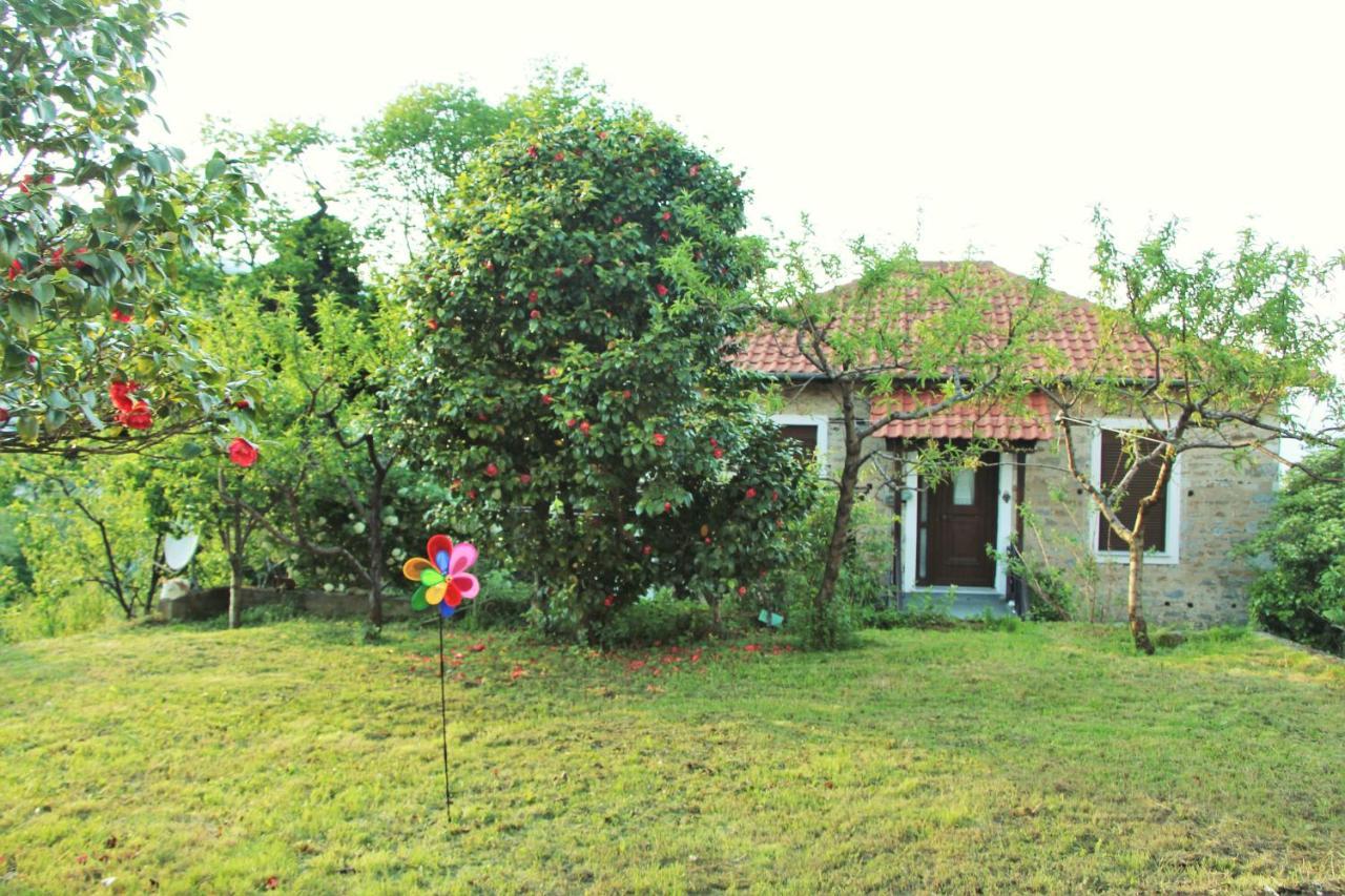 Camellia Guesthouse Anilio Pelion Екстер'єр фото